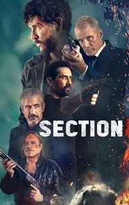 Section 8