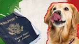 A groom-to-be says his dog ate his passport days before he was due to fly to Italy for his dream wedding
