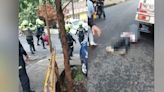 Brutal pelea entre comunidad y policía en Medellín por caso de ruido excesivo quedó registrada en video: terminó en asonada