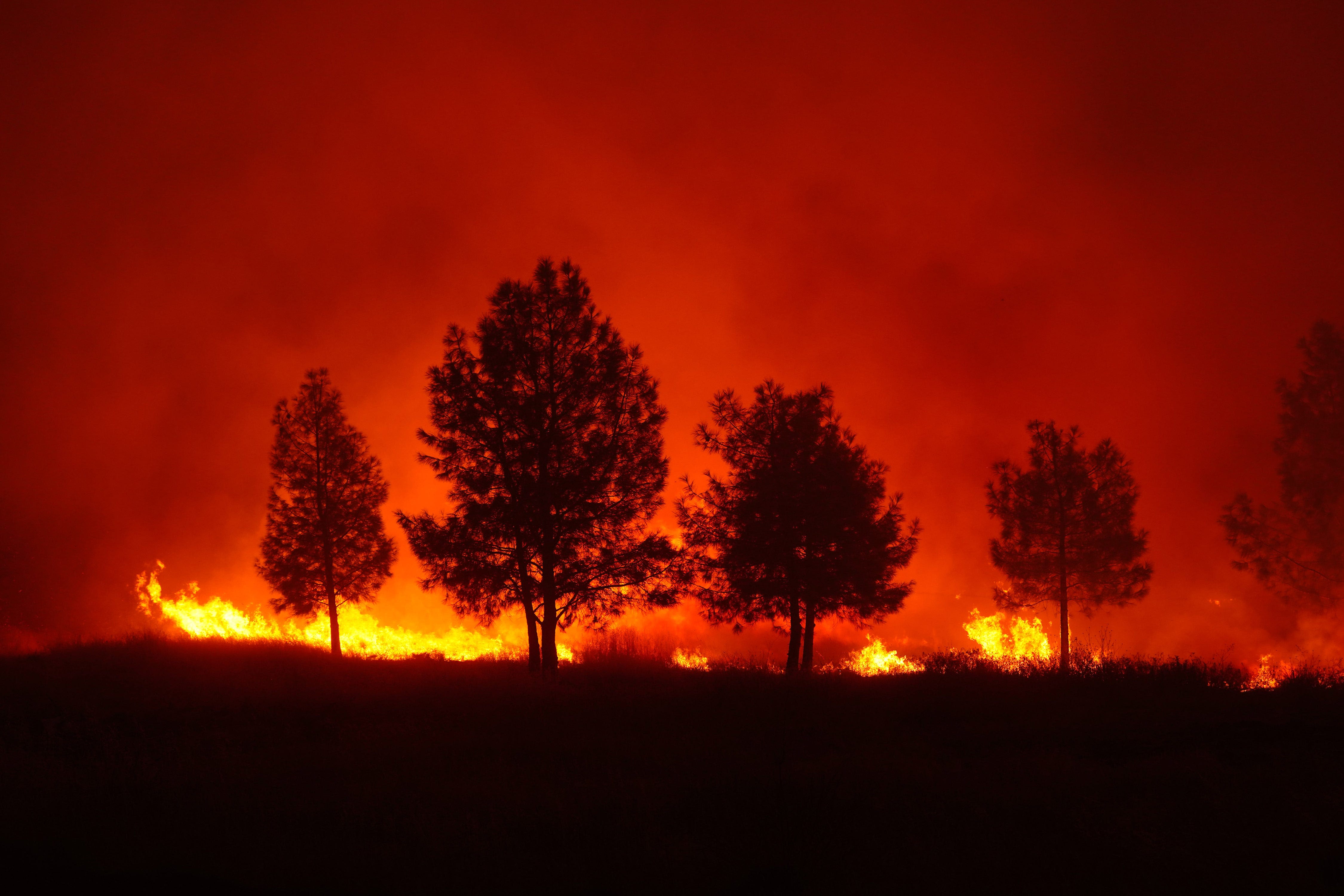 Flames 'right by our front door': Wildfires rage across western US