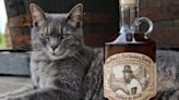 How do bourbon distilleries keep critters away? Meet 9 Kentucky cats who get the job done