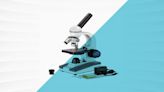 These Student-Friendly Microscopes Are Our Top Picks for Kids and Adults of All Ages