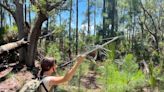 World’s biggest rattlesnakes can swim from Parris Island to Hilton Head