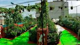 Vizag sees a bloom of terrace gardeners