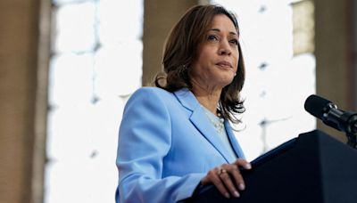Who is Kamala Harris, the VP who Biden is backing for president?