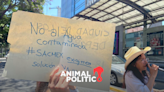 Vecinos de Benito Juárez protestan por agua con olor a gasolina; Sacmex entregará resultados el martes