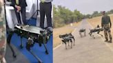 Indian Army set to induct 25 remote-controlled MULE robotic dogs into its fold