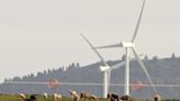 Industriales advierten que empresas abandonarían México por falta de energías renovables