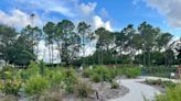 Could microforests help keep Bradenton and Sarasota cool? What experts say