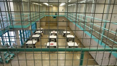 Inmate featured in Netflix show filmed at Pulaski County jail dies in state prison | Arkansas Democrat Gazette