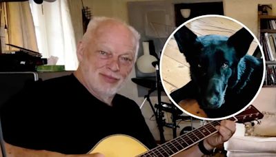 David Gilmour releases chilled rehearsal footage of Wish You Were Here