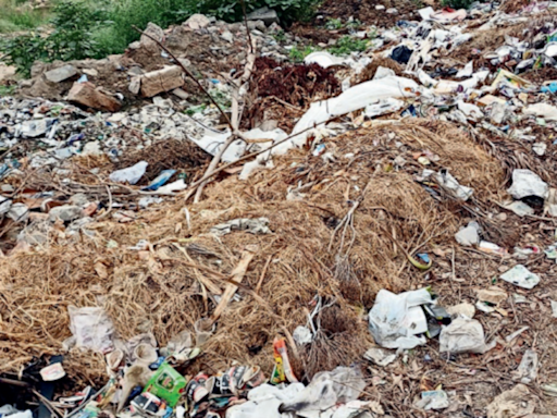 Demolition waste to dung, this road in Ghaziabad is now a dumping ground | Ghaziabad News - Times of India