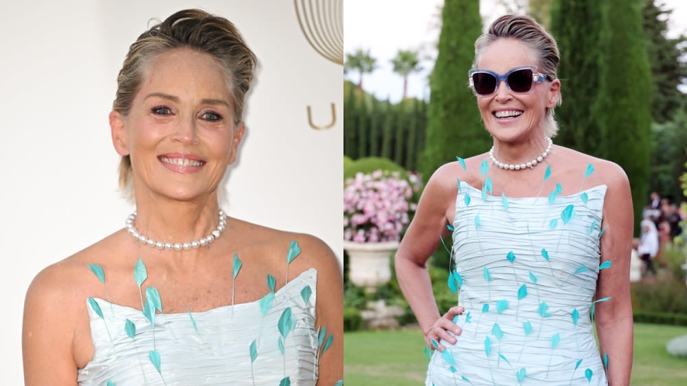 Sharon Stone Flaunts Feathers in Custom Sophie Couture Dress at Knights of Charity Gala Inspired by Grace Kelly and Cary Grant