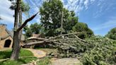 Navigating insurance claims after storm damage