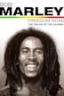 Bob Marley: Freedom Road