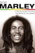 Bob Marley - Freedom Road