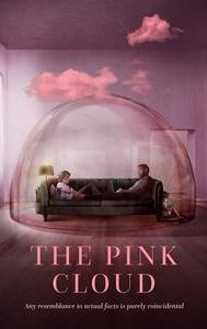 The Pink Cloud