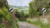 UK drivers puzzled by 60mph limits on narrow country lanes