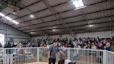 Tuscarawas County Fair livestock auction sets another record with $1.3 million in sales