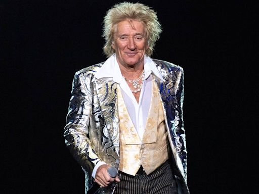 Rod Stewart celebrates son's wedding with all 8 children