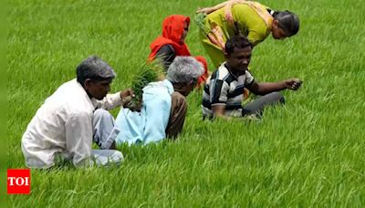 Telangana waives Rs 6K crore farm loans, CM to organise 'thanksgiving' meet for Rahul Gandhi | India News - Times of India