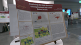 Gannon University Showcases Student Work at Mapping Exhibit