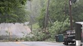 Downed tree and wires close road in North Avondale