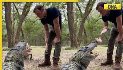 Man feeds giant crocodile with bare hands in terrifying viral video, internet is scared