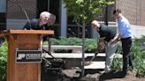 Purdue ends five year plan, plants 3,738th tree