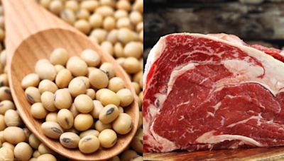 La carne o la soja texturizada: ¿cuál tiene más proteína?