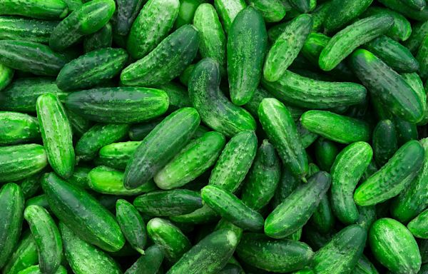 Cucumbers shipped to 14 states are recalled over salmonella concerns. Here's a list