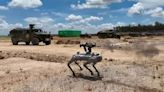 Adorables, pero letales: así son los nuevos perros robot del ejército chino