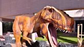 Llegan los Dinosaurios al Museo Bebeleche