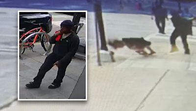 Police release photos of Downtown Dallas assault suspect