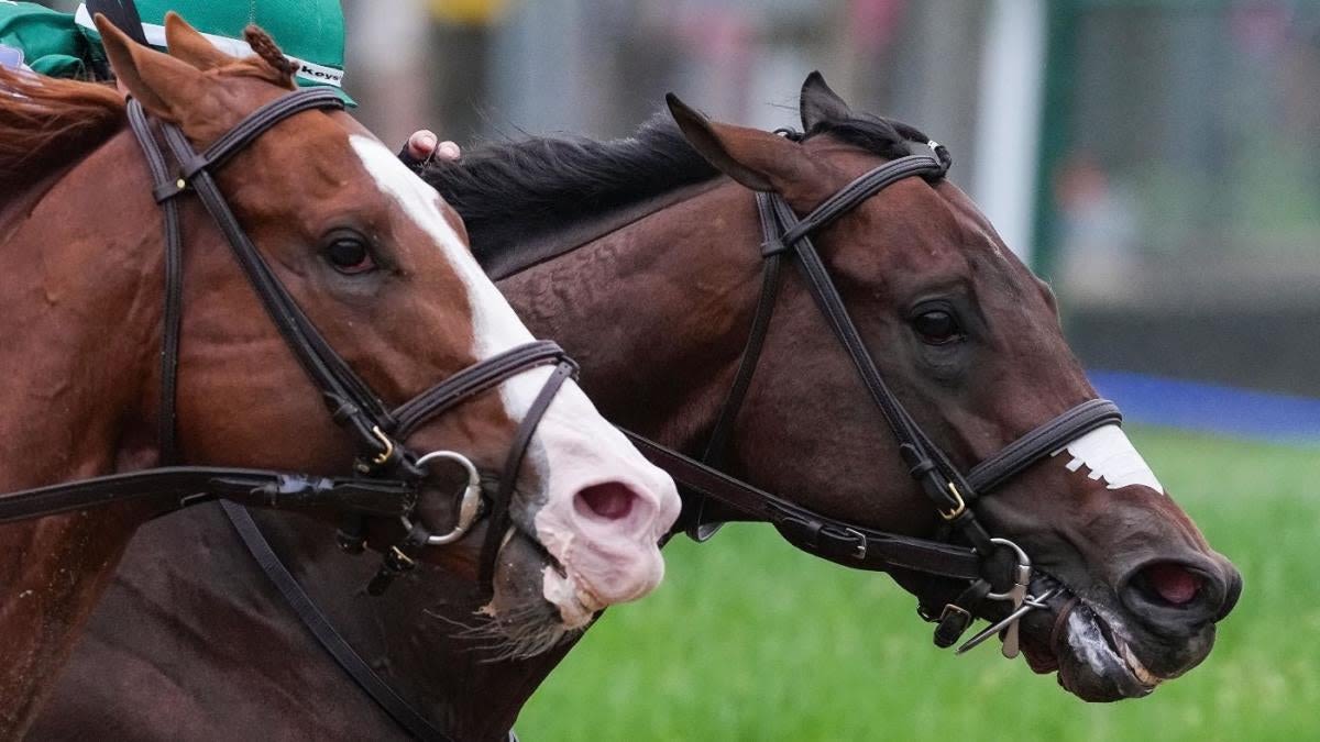 Haskell Stakes 2024 predictions, picks, odds, post time: Surprising bets by expert who nailed Kentucky Derby