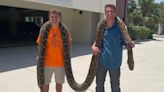 Watch: Snake Hunters Catch the Longest Python Ever Recorded in Florida