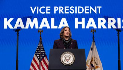 Bring it on – Kamala Harris says she is ready to fight for country’s future