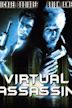 Virtual Assassin