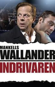 Wallander - Vittnet