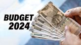 Union Budget 2024: Will FM Sitharaman increase standard deduction under old, new tax regimes. Here's what experts expect