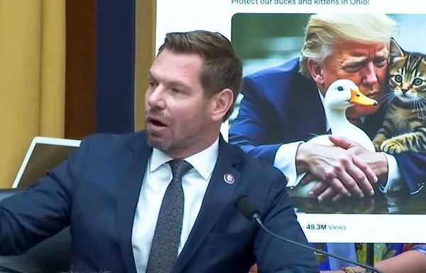 'Are you OK?' Dem confronts Jim Jordan for sharing fake image of Trump protecting a duck