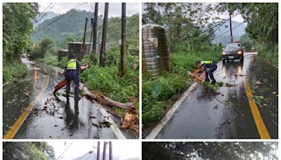 連日豪雨路樹倒塌阻礙交通 和平警以洪荒之力緊急排除 | 蕃新聞