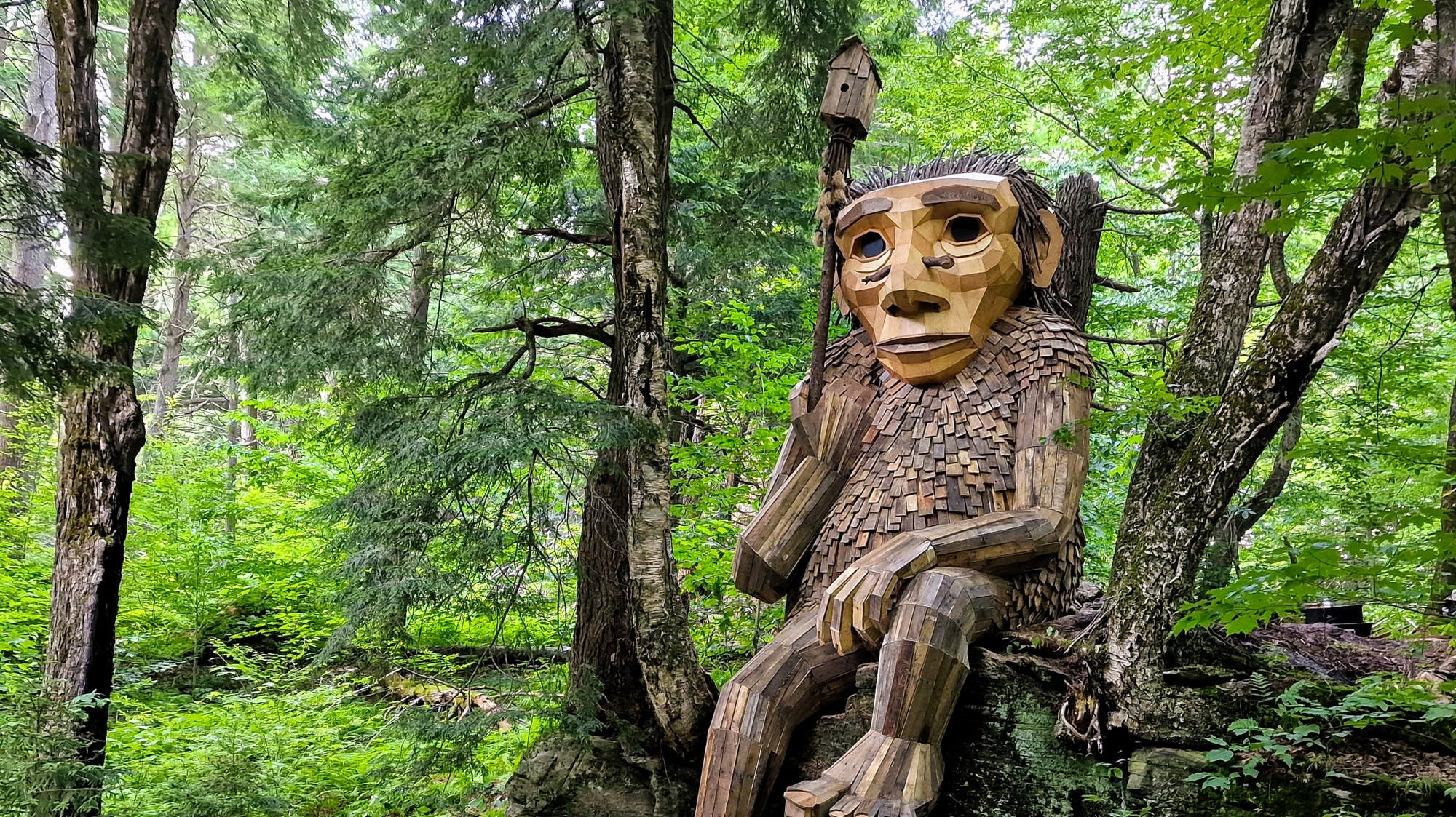 Trolls in the northern Minnesota woods with a message