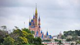 Forget Mickey Mouse: There Was A Bear Spotted Hanging Out In A Tree At Walt Disney World