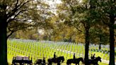 After Arlington National Cemetery horse deaths, Army makes changes to improve their care
