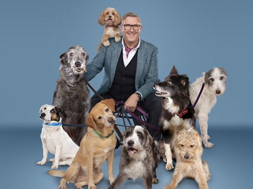 Dogs Behaving (Very) Badly celebrates 100-episode milestone