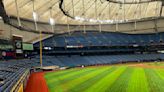 Tampa Bay Rays fan perks this season: concerts, self-checkout food, giveaways