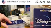 阿公阿嬤出1萬美元贊助全家迪士尼樂園 買成Disney+的兌換卡可看70年 - BabyHome親子討論區