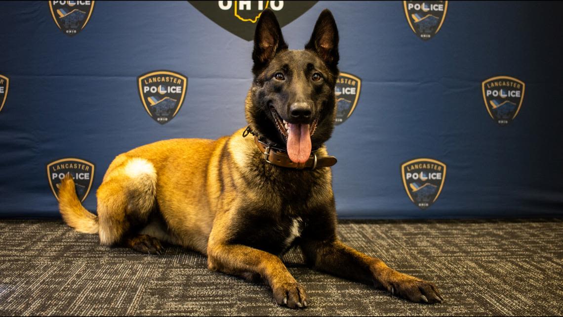 Lancaster police welcome K-9 Barry to team