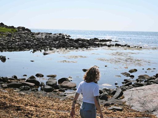 This Secluded Island Off the Coast of Maine Is One of the State's Best-kept Secrets